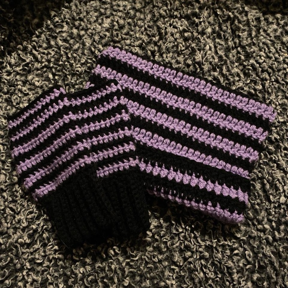 Black and purple cat Bennie